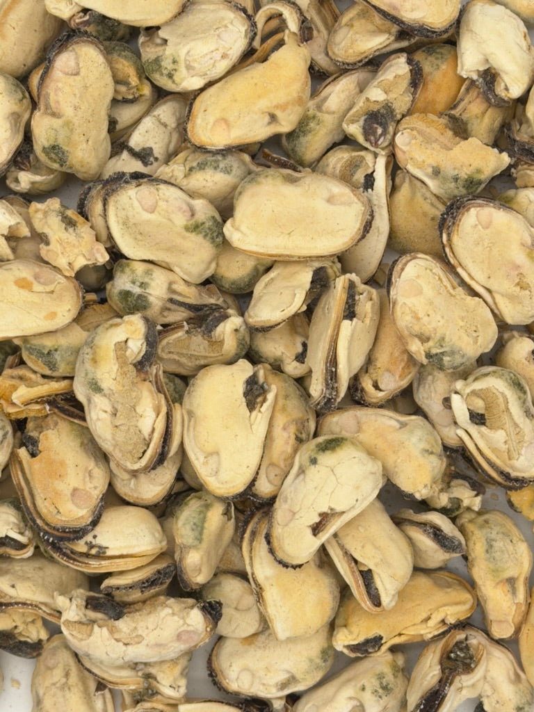 Freeze-Dried Chilean Blue Mussels 1.5oz