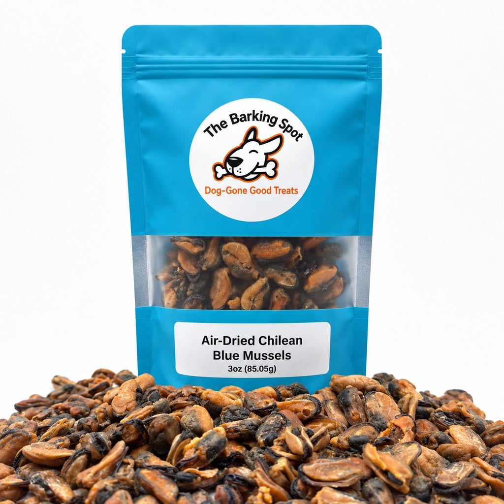 Air-Dried Chilean Mussels