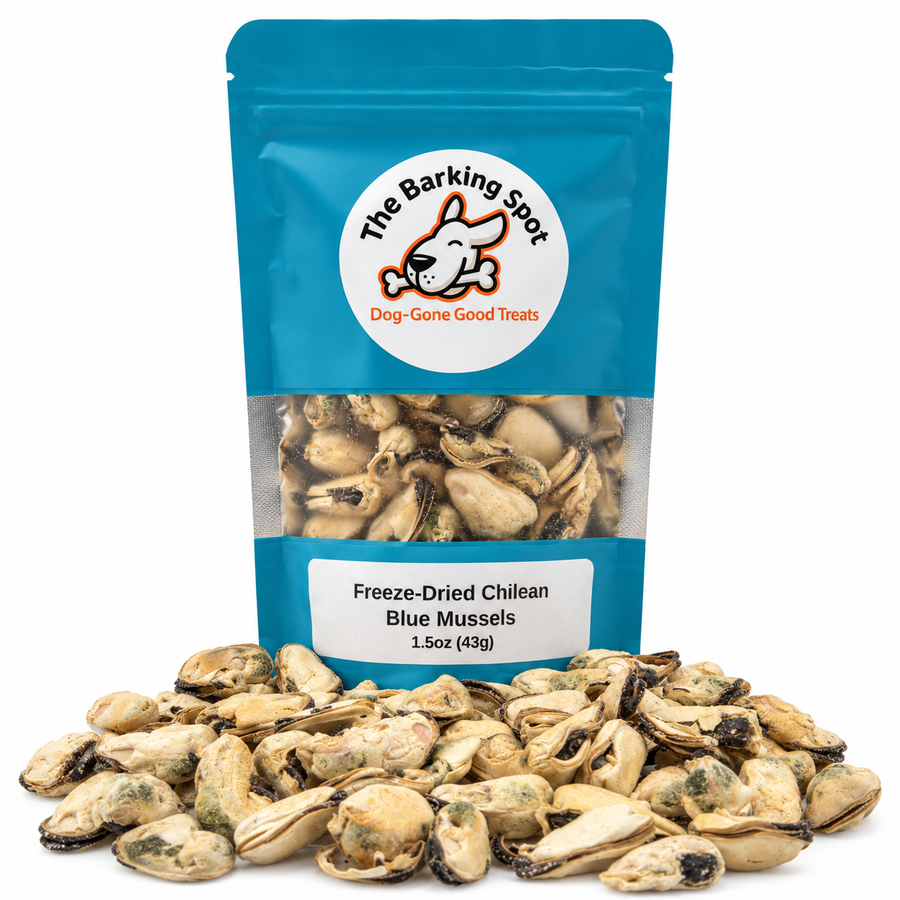 Freeze-Dried Chilean Blue Mussels 1.5oz