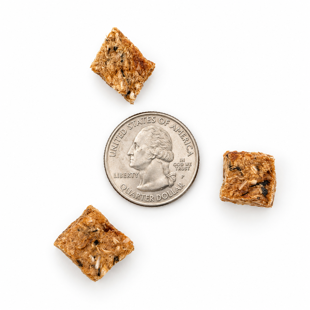 Icelandic Salmon Bites