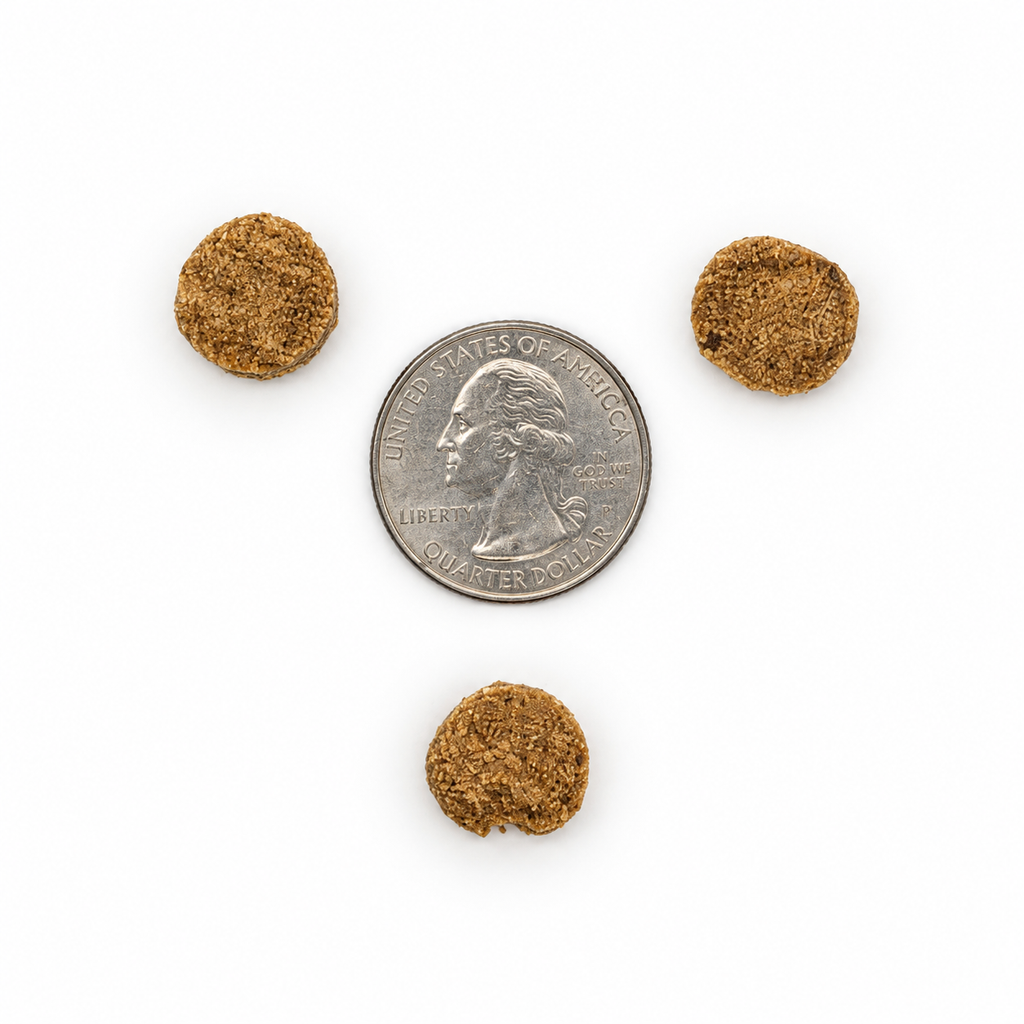Salmon Signature Bites Cat Treats